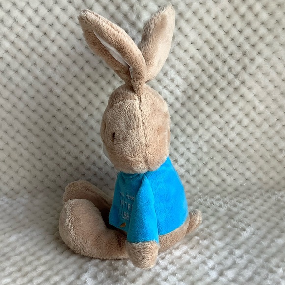 My First Peter Rabbit Plush Bunny Stuffed Animal Toy with Embroidered Eyes READ - Picture 4 of 8